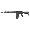 Image 1 : SIG TREAD V2 5.56 16" 30RD BLK