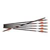 Image 1 : RAVIN ARROWS 500GR HD 6PK .001