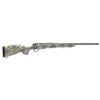 Image 1 : BERGARA SIERRA WLDRNSS 308 20" 4RD