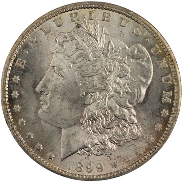 United States 1899 Morgan Silver Dollar