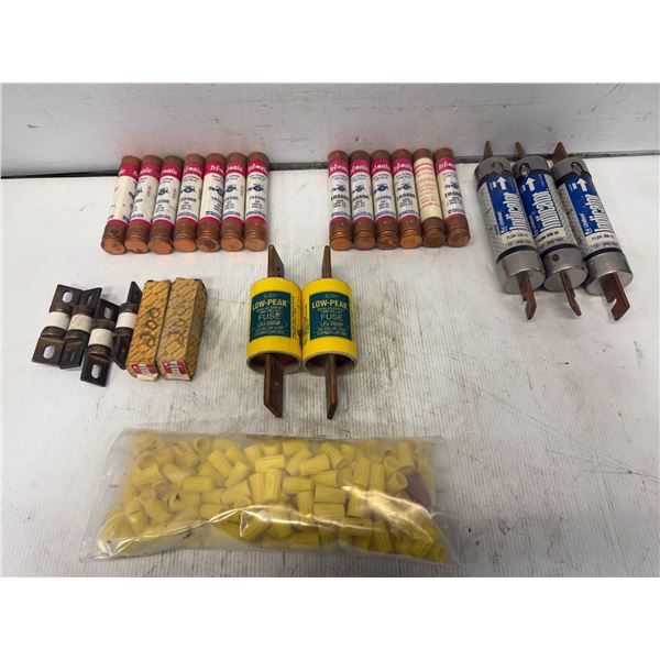 Lot of Misc. Fuses & Wire Nuts