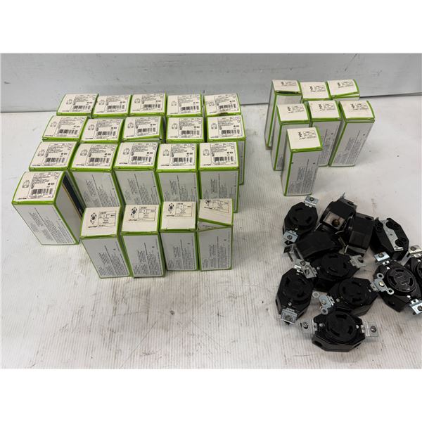 Lot of Leviton Plugs
