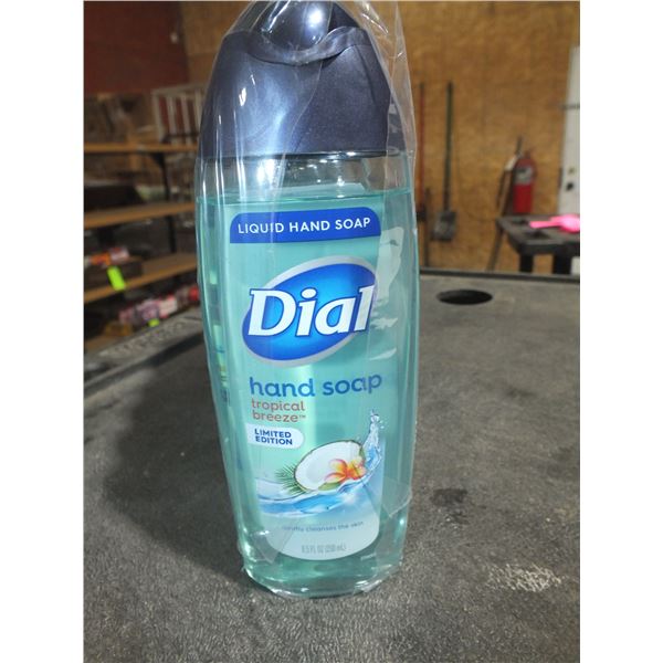 1 Case Of Dial Hand Soap