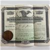 Image 1 : 1895 Stock certificate