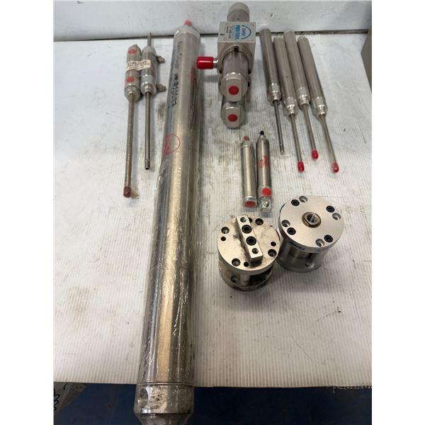 Lot of Bimba Cylinders