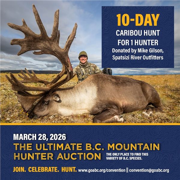 10-day Caribou Hunt for 1 hunter