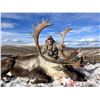 Image 3 : 10-day Caribou Hunt for 1 hunter