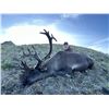 Image 4 : 10-day Caribou Hunt for 1 hunter