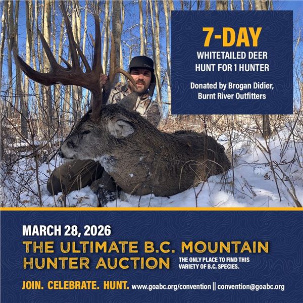 7-day Whitetailed Deer Hunt for 1 hunter