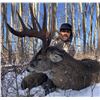 Image 5 : 7-day Whitetailed Deer Hunt for 1 hunter