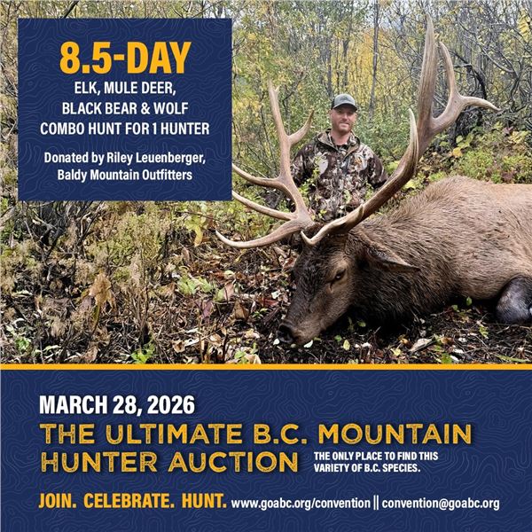 8.5-Day Elk, Mule Deer, Black Bear & Wolf Combo Hunt for 1 hunter