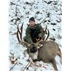 Image 2 : 8.5-Day Elk, Mule Deer, Black Bear & Wolf Combo Hunt for 1 hunter