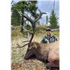 Image 3 : 8.5-Day Elk, Mule Deer, Black Bear & Wolf Combo Hunt for 1 hunter