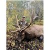 Image 4 : 8.5-Day Elk, Mule Deer, Black Bear & Wolf Combo Hunt for 1 hunter