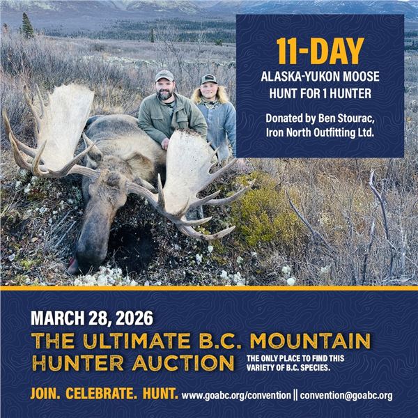 11-day Alaska-Yukon Moose Hunt for 1 hunter