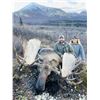 Image 5 : 11-day Alaska-Yukon Moose Hunt for 1 hunter