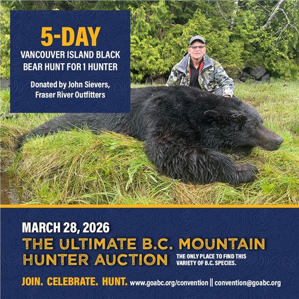 5-day Vancouver Island Black Bear Hunt for 1 hunter