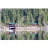 Image 4 : 5-day Vancouver Island Black Bear Hunt for 1 hunter