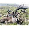 Image 2 : 10-Day Barren Ground Caribou Hunt for 1 hunter