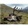 Image 3 : 10-Day Barren Ground Caribou Hunt for 1 hunter