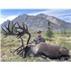 Image 4 : 10-Day Barren Ground Caribou Hunt for 1 hunter