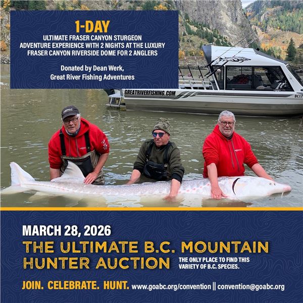 1-day ultimate fraser canyon sturgeon experience with 2-nights at the luxury fraser canyon riverside
