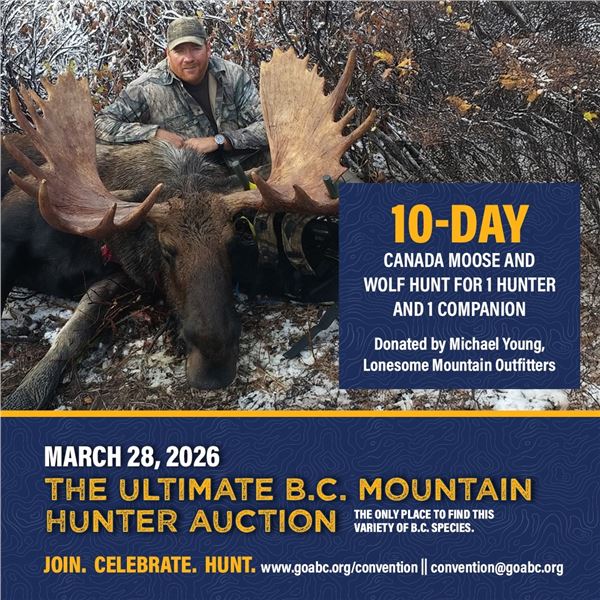 10-day Moose and Wolf Hunt for 1 hunter in 2029/2030