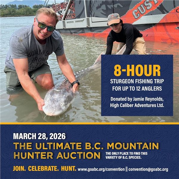 8-hour Sturgeon fishing trip for up to 12 anglers