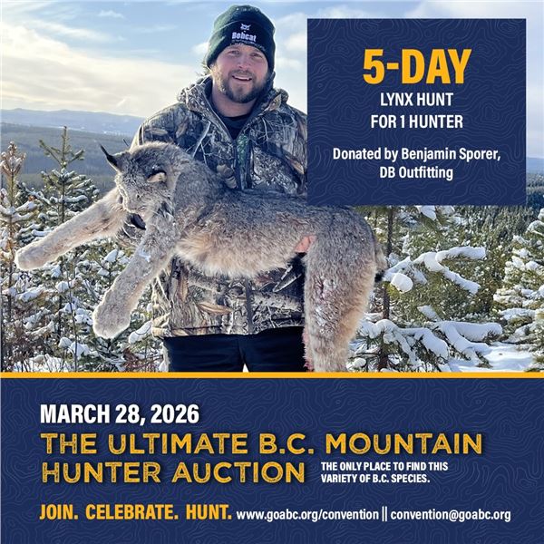 5-day winter lynx hunt for 1 hunter