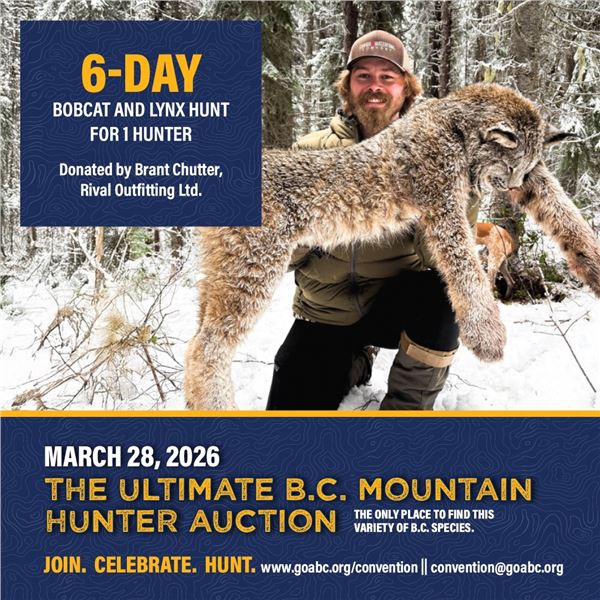 6-day Bobcat and Lynx Hunt for 1 Hunter