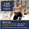 Image 1 : 6-day Bobcat and Lynx Hunt for 1 Hunter