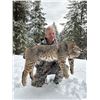 Image 2 : 6-day Bobcat and Lynx Hunt for 1 Hunter
