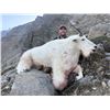 Image 2 : 7-Day Mountain Goat Hunt for 1 Hunter