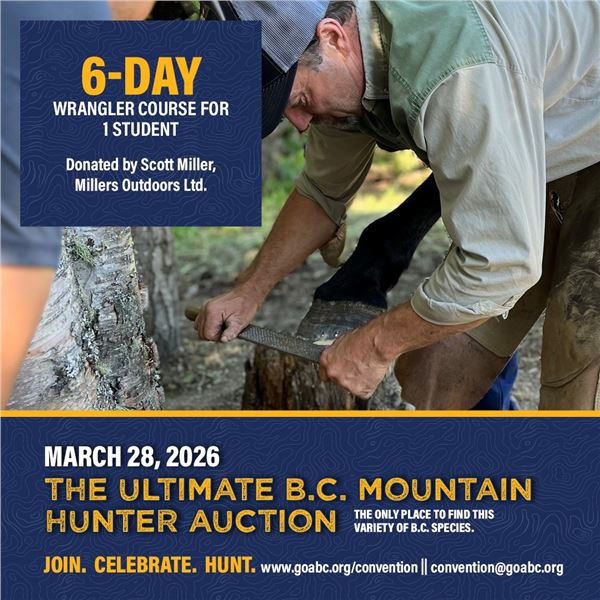 6-day wrangler course for 1 student