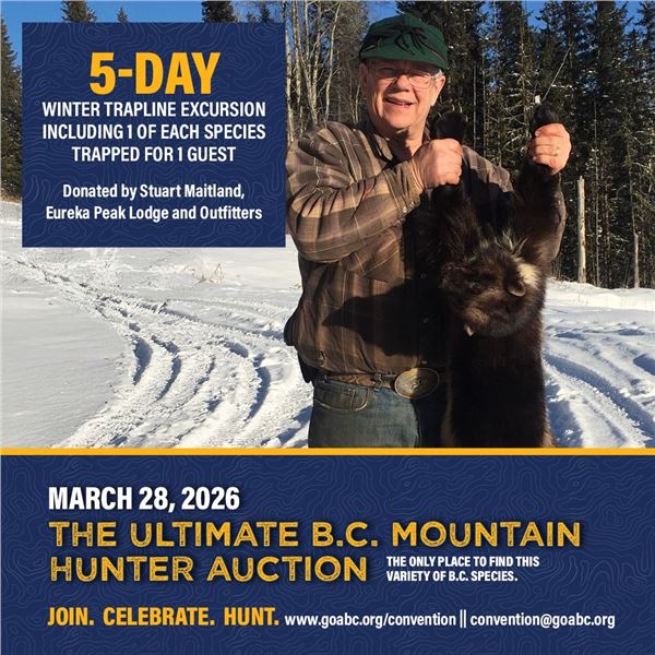 5-day winter trapline excursion including 1 of each species trapped for 1 guest