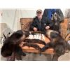 Image 2 : 5-day winter trapline excursion including 1 of each species trapped for 1 guest