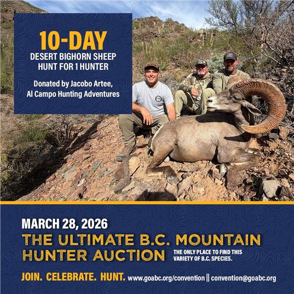 10-day Desert Bighorn Sheep Huntfor 1 hunter