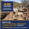 Image 1 : 10-day Desert Bighorn Sheep Huntfor 1 hunter