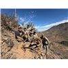 Image 3 : 10-day Desert Bighorn Sheep Huntfor 1 hunter