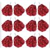 Image 1 : 1 12-Pack of Red Shimmer Dance/Celebration PomPoms - New