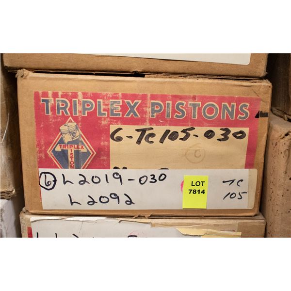 TRIPLEX L2019 PISTON SET 6 NASH HUDSON 3-1/8" 1956