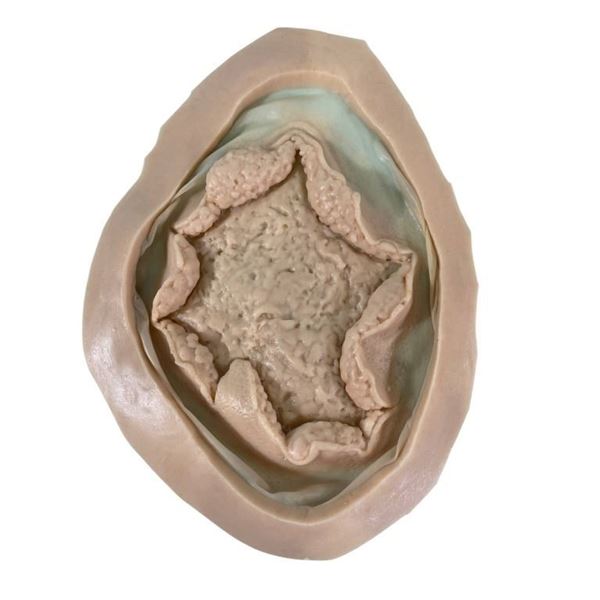 The Belko Experiment (2016) - Blownout Head Appliance (Unused) Lot A