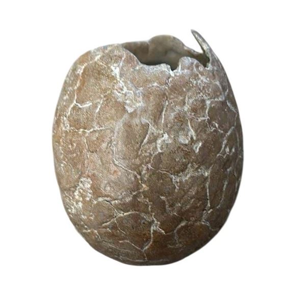 Land of the Lost (2009) - Sleestak Dinosaur Egg