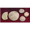 258. (5) Old Ancient Roman Copper Coins. Genuine. 1,500-2,000 years old.