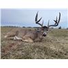 Image 1 : 6-day Alberta Northwestern White-tailed Deer Hunt for One Hunter