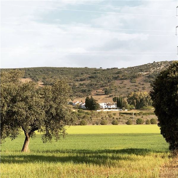 3-day Spain Iberian Red Stag Hunt for One hunter