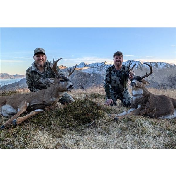 5-day/6-night hunt for Guided Sea Ducks and Self-guided Sitka Black-tailed Deer and Fox for Two Hunt