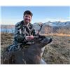 Image 2 : 5-day/6-night hunt for Guided Sea Ducks and Self-guided Sitka Black-tailed Deer and Fox for Two Hunt