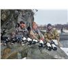 Image 3 : 5-day/6-night hunt for Guided Sea Ducks and Self-guided Sitka Black-tailed Deer and Fox for Two Hunt