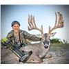 Image 1 : 3-day Texas Whitetail (up to 230 SCI) Hunt for One Hunter and One Non-hunter